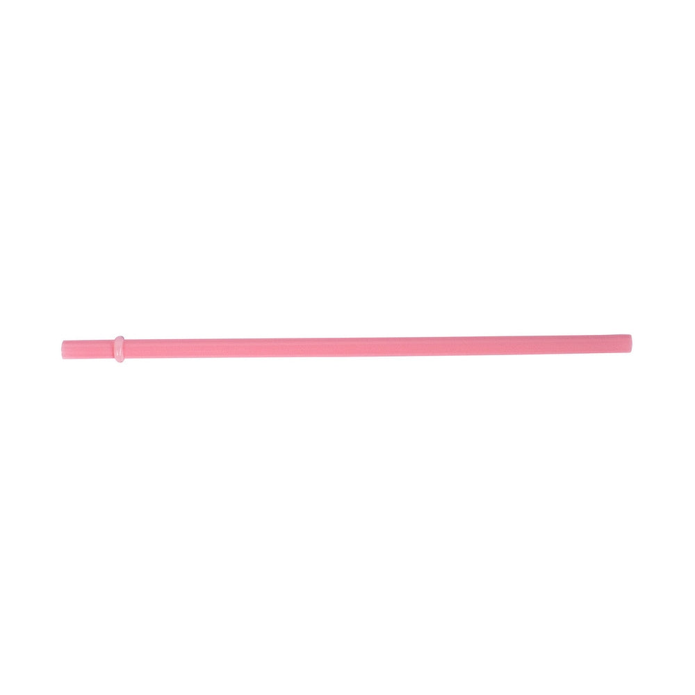 Glass Smoothie Straw