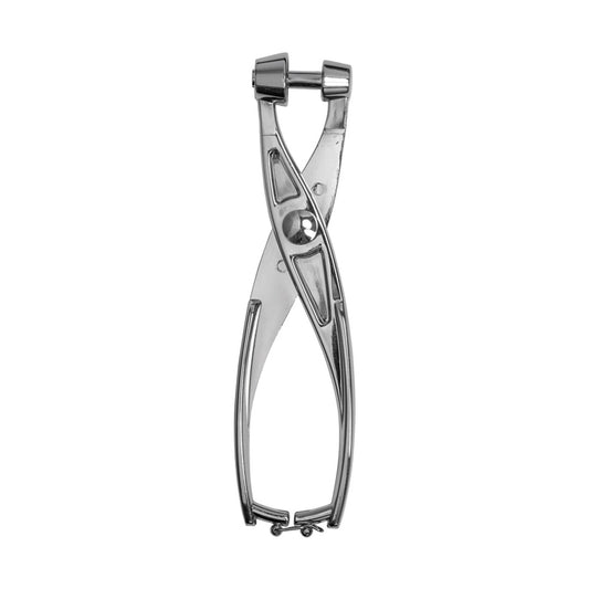 Alloy Cherry and Olive Pitter