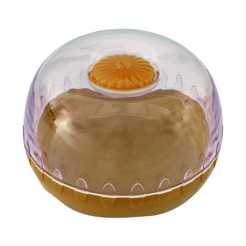 Fresh Keeper Pod - Onion
