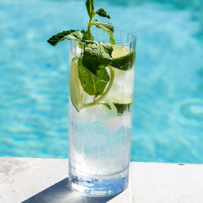 D-Still Bamboo Polycarbonate Highball - 350ml , Box of 4