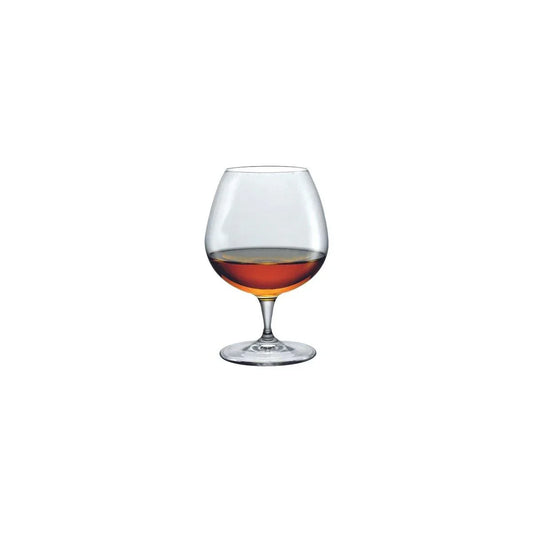 Bormioli Rocco Premium Cognac 645ml (Box of 12) - Kitchenly