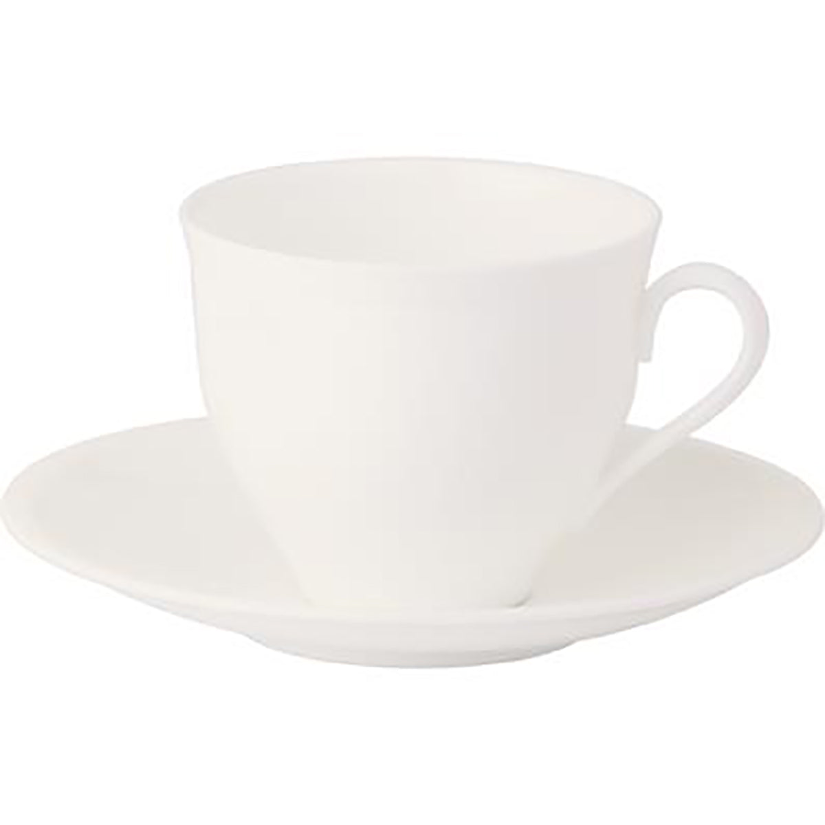 Royal Bone China Ascot Coffee Cup 250ml (Box of 6) - Kitchenly