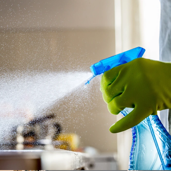 Cleaning & Disposables - Kitchenly