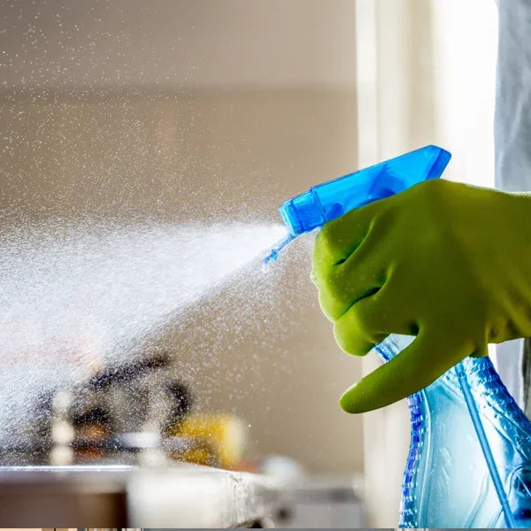 Cleaning & Disposables - Kitchenly