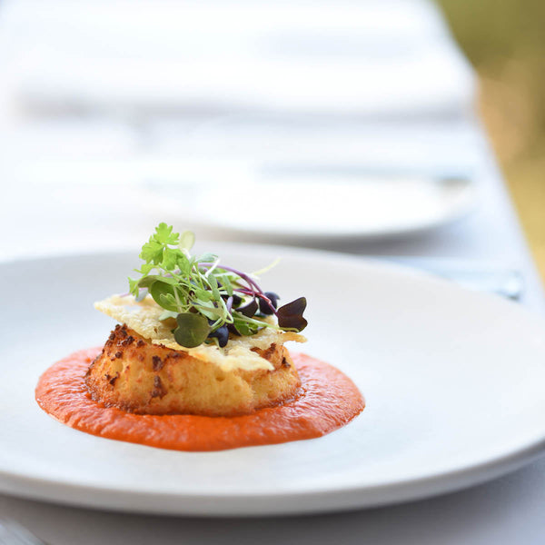 Patra Porcelain Aura