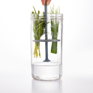 Herb Keeper, 1 Litre