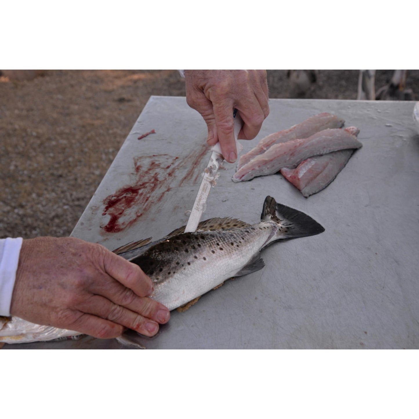 SOFGRIP® 18cm Fillet with Edge Guard