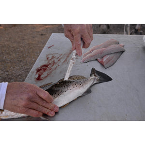 SOFGRIP® 18cm Fillet with Edge Guard