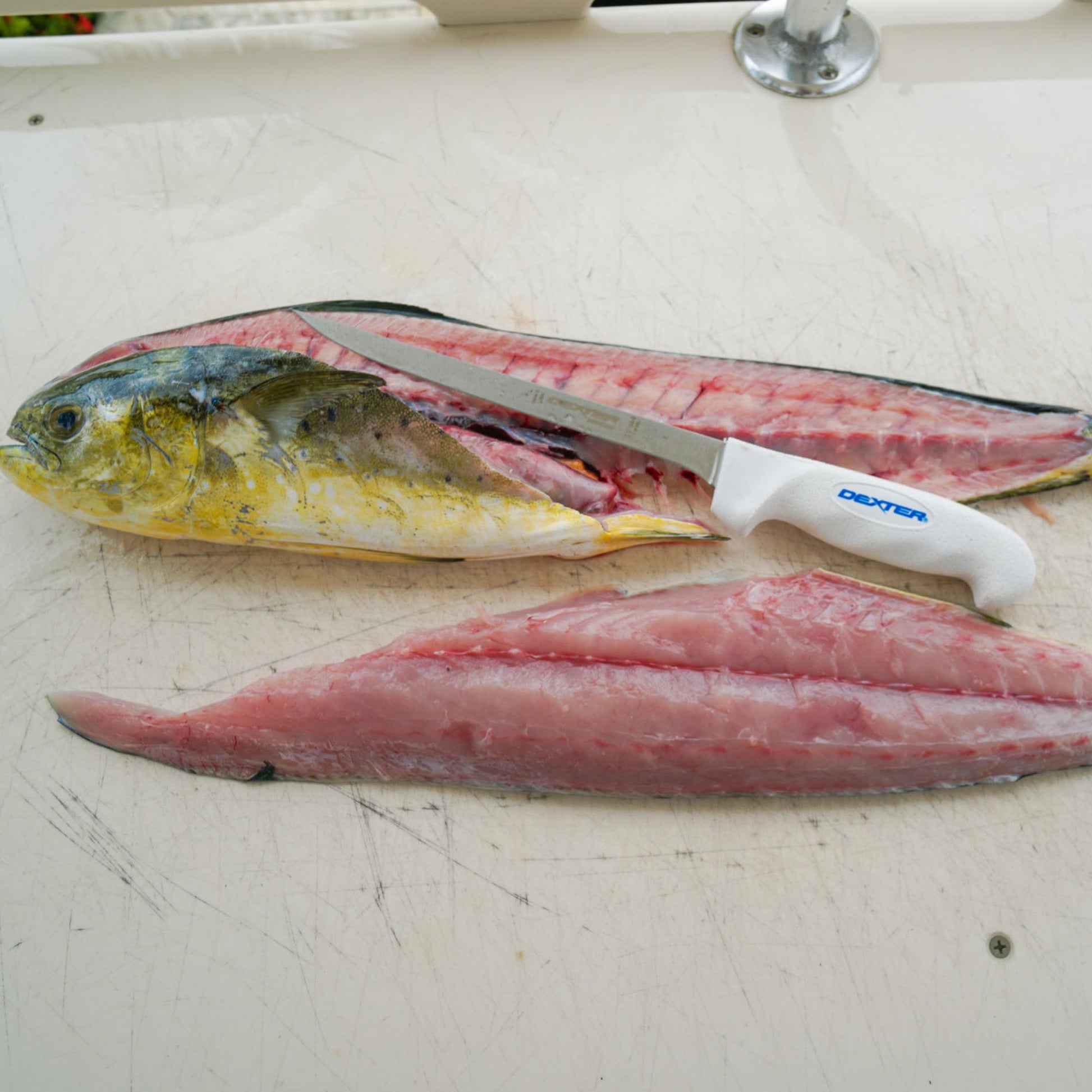 SOFGRIP® 20cm Fillet with Edge Guard