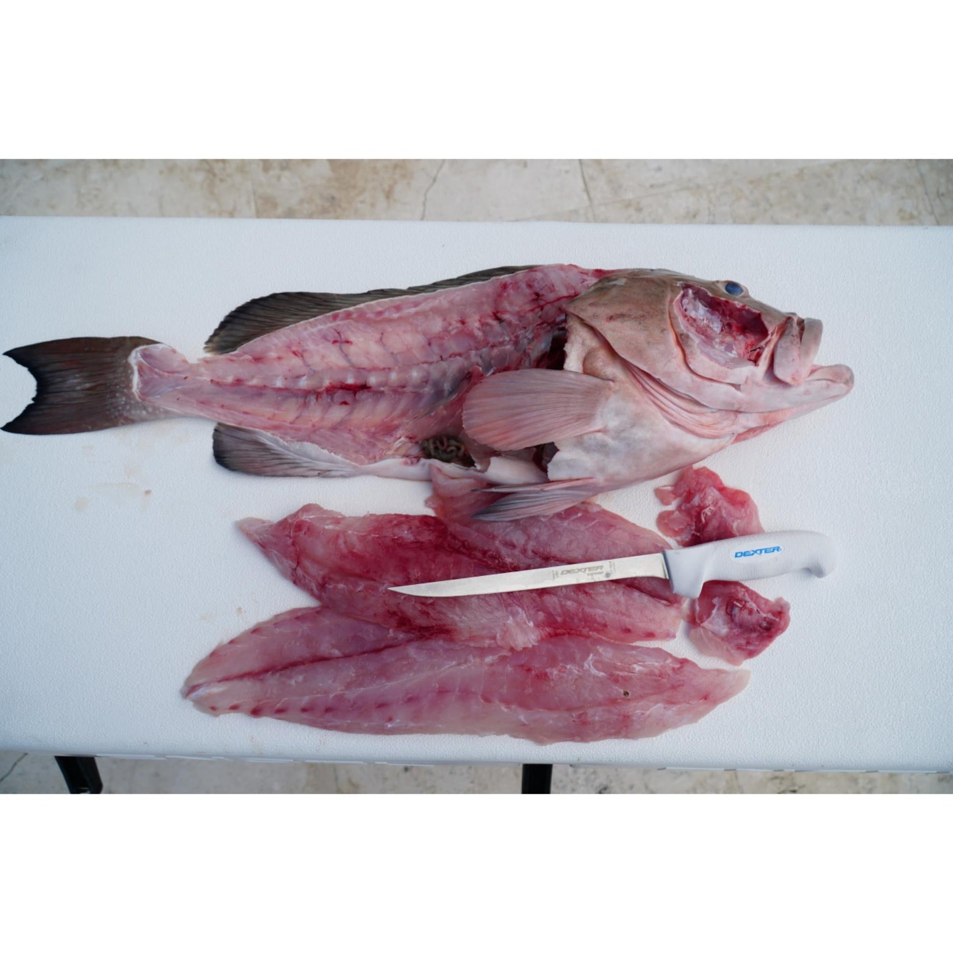 SOFGRIP® 20cm Fillet with Edge Guard