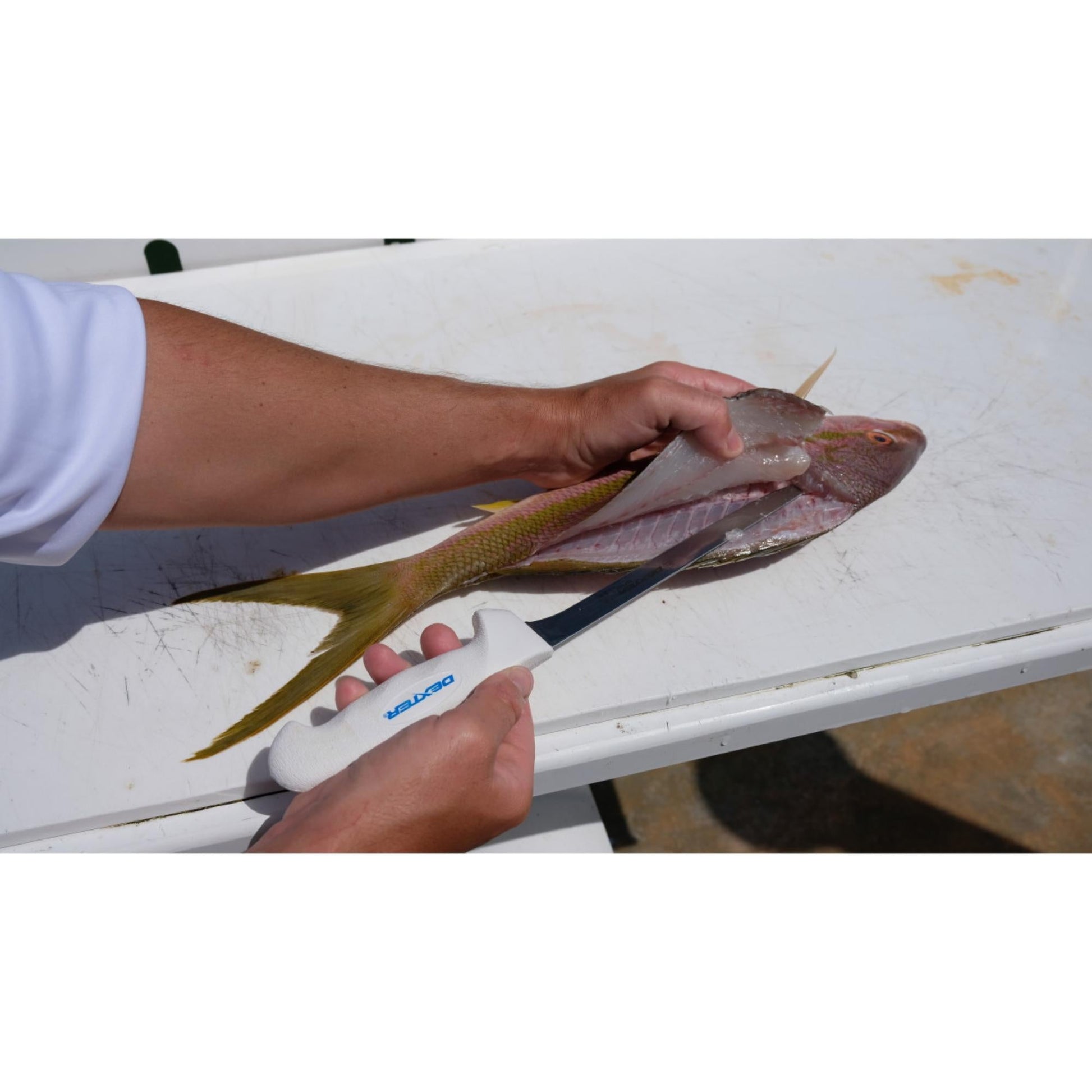 SOFGRIP® 20cm Fillet with Edge Guard