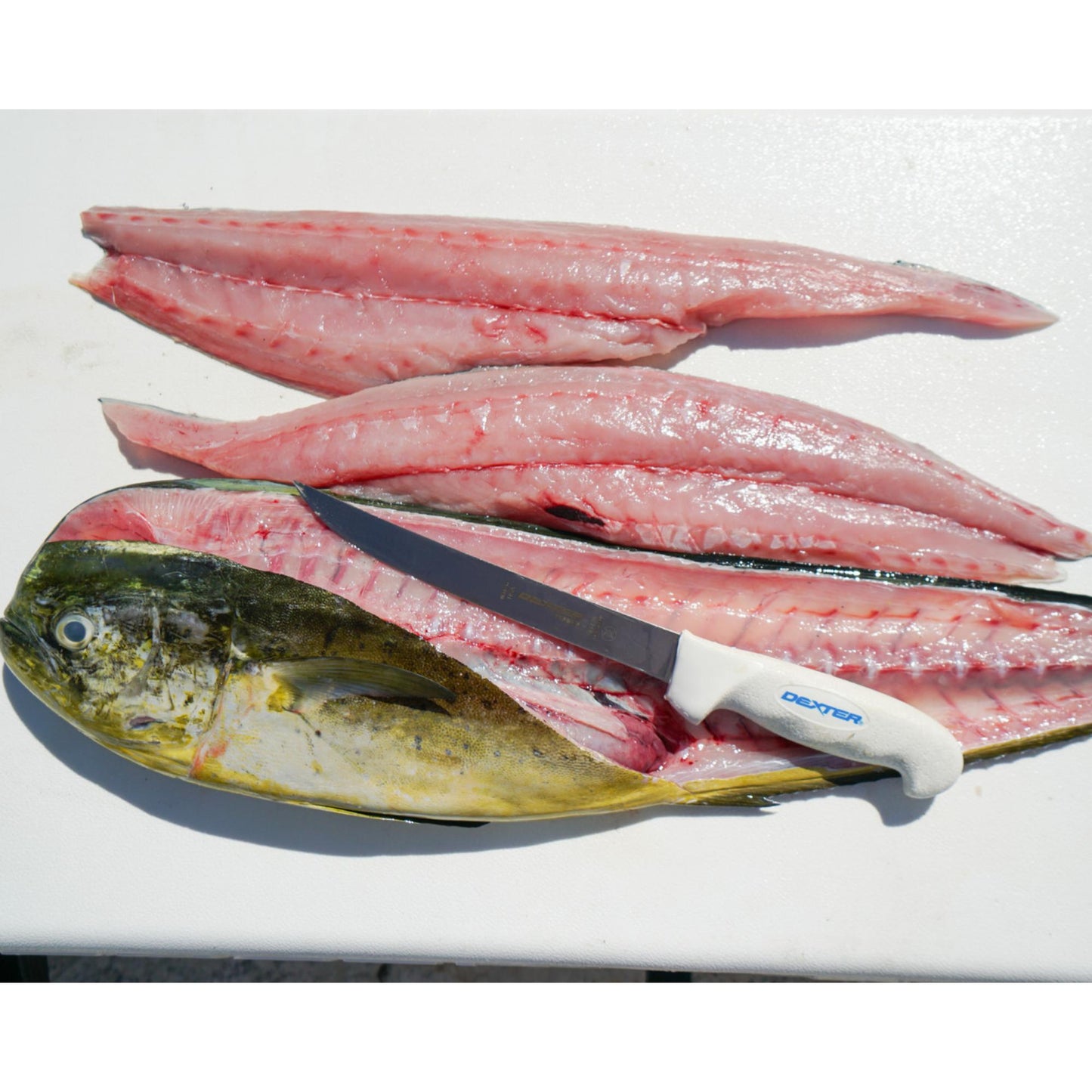 SOFGRIP® 20cm Wide Fillet with Edge Guard