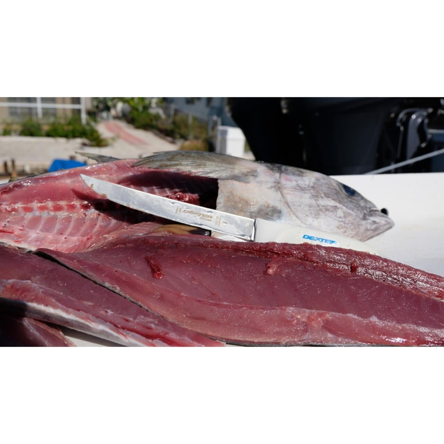 SOFGRIP® 20cm Wide Fillet with Edge Guard