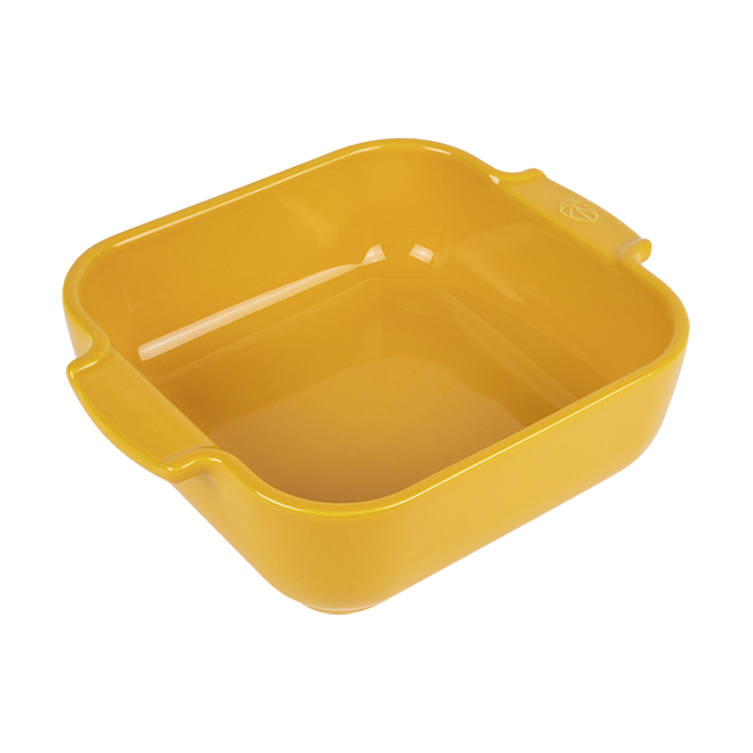 Appolia Square Baker, 21cm