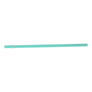 Glass Smoothie Straw