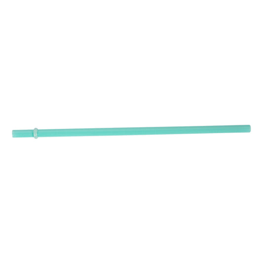 Glass Smoothie Straw