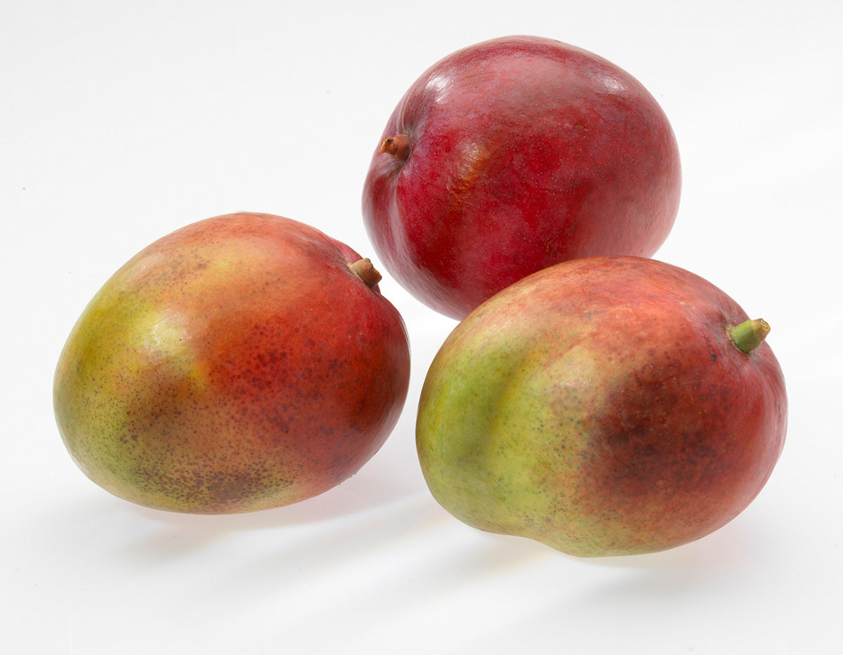 Mango cutter PARTI