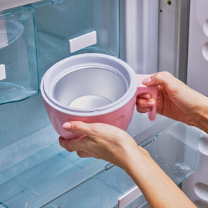 Mini Ice Cream Maker