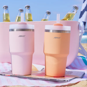 Avanti HydroQuech Insulated Smoothie Tumbler with Two Lids, 550ml