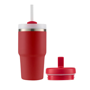 HydroQuench Insulated Smoothie Tumbler