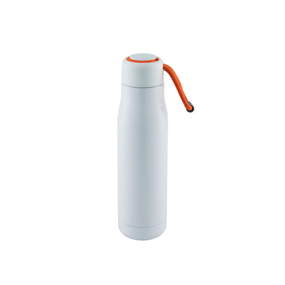 HydroSwig Insulated Water Bottle - 500ml