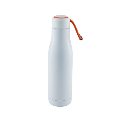 HydroSwig Insulated Water Bottle - 750ml