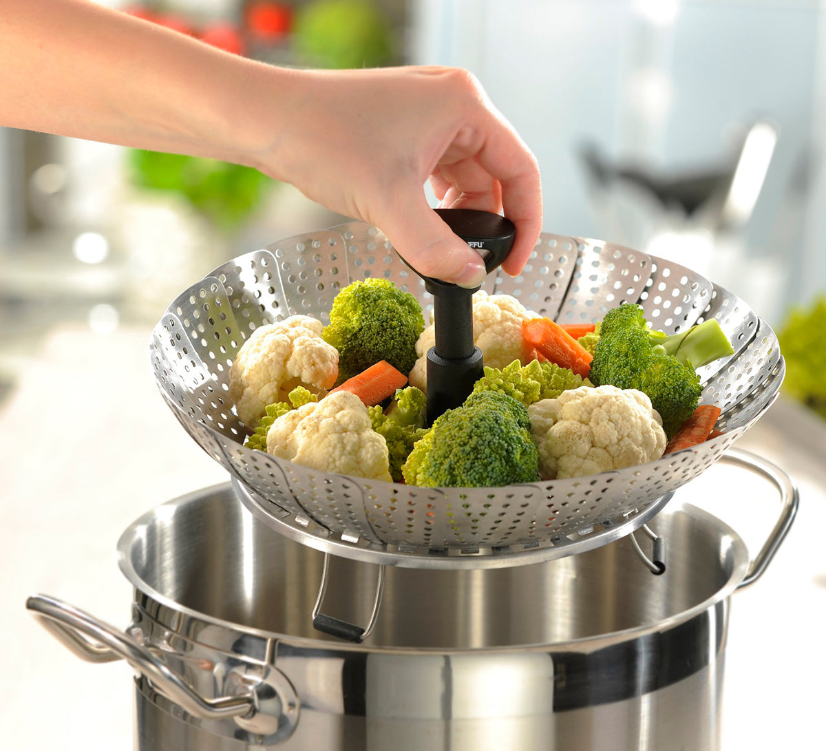 Steam insert VITALA