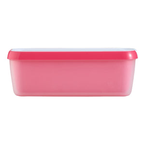 EasyScoop Ice Cream Container
