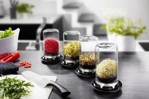 Sprouting jar BIVITA®