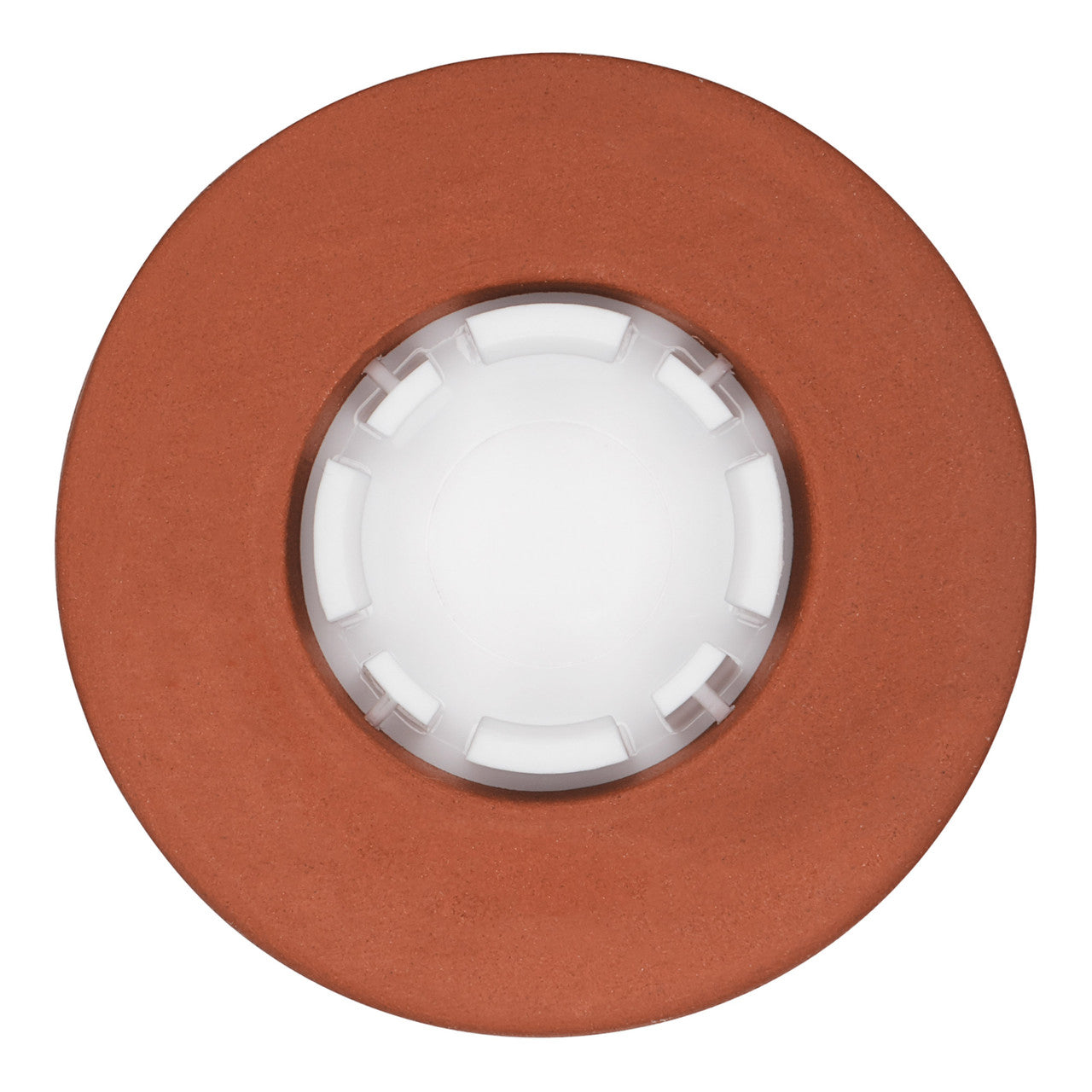 POP Brown Sugar Keeper