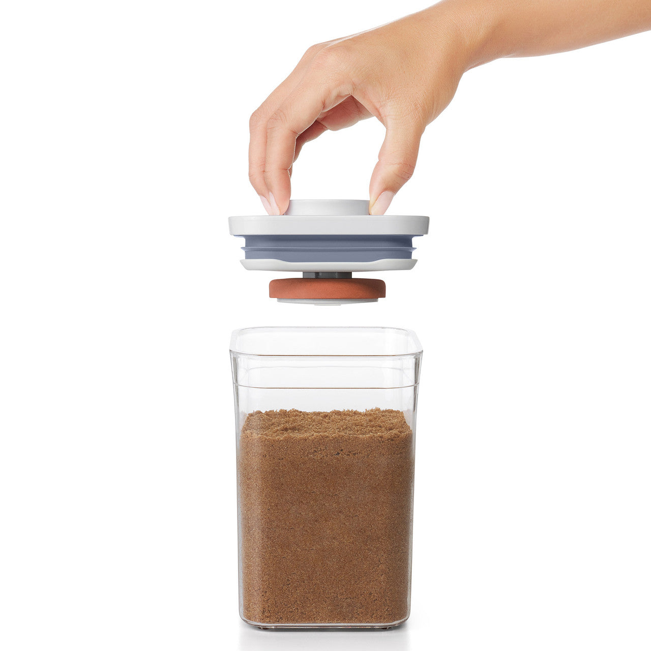 POP Brown Sugar Keeper