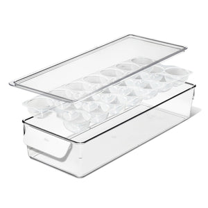 Refrigerator Egg Bin with Removable Tray