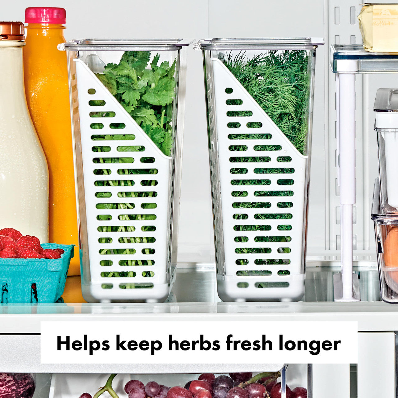 Produce Saver, Herb Keeper