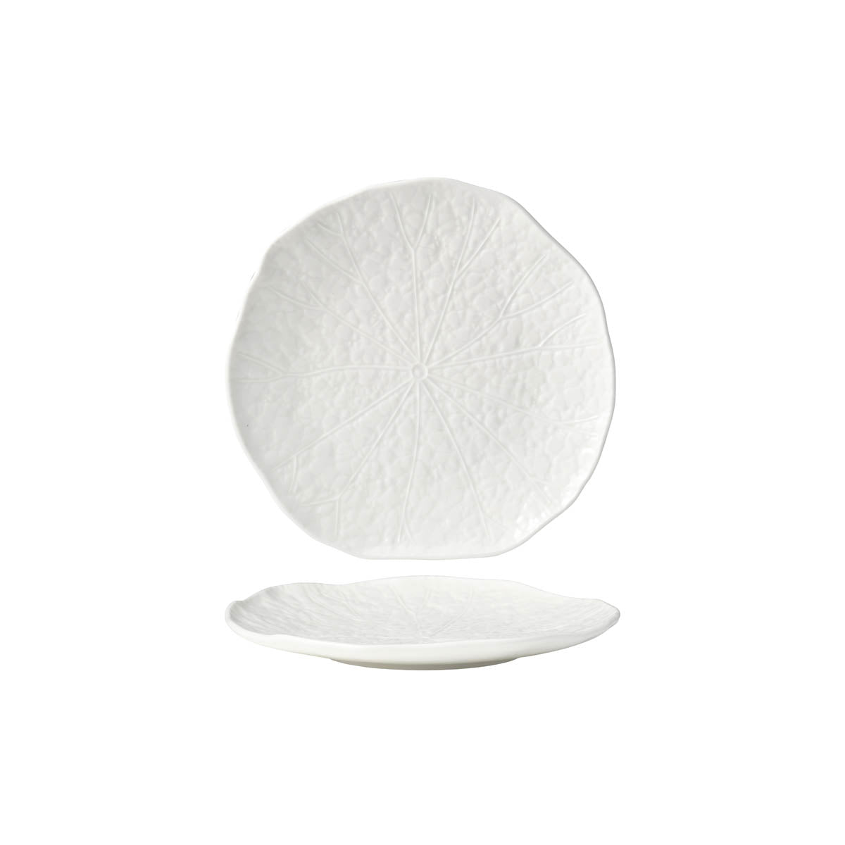 Tablekraft Fusion Lotus Coupe Plate - 255mm, White , Box of 4