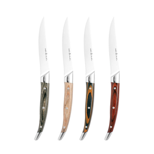 4 Piece Steak Knife Set Pakka
