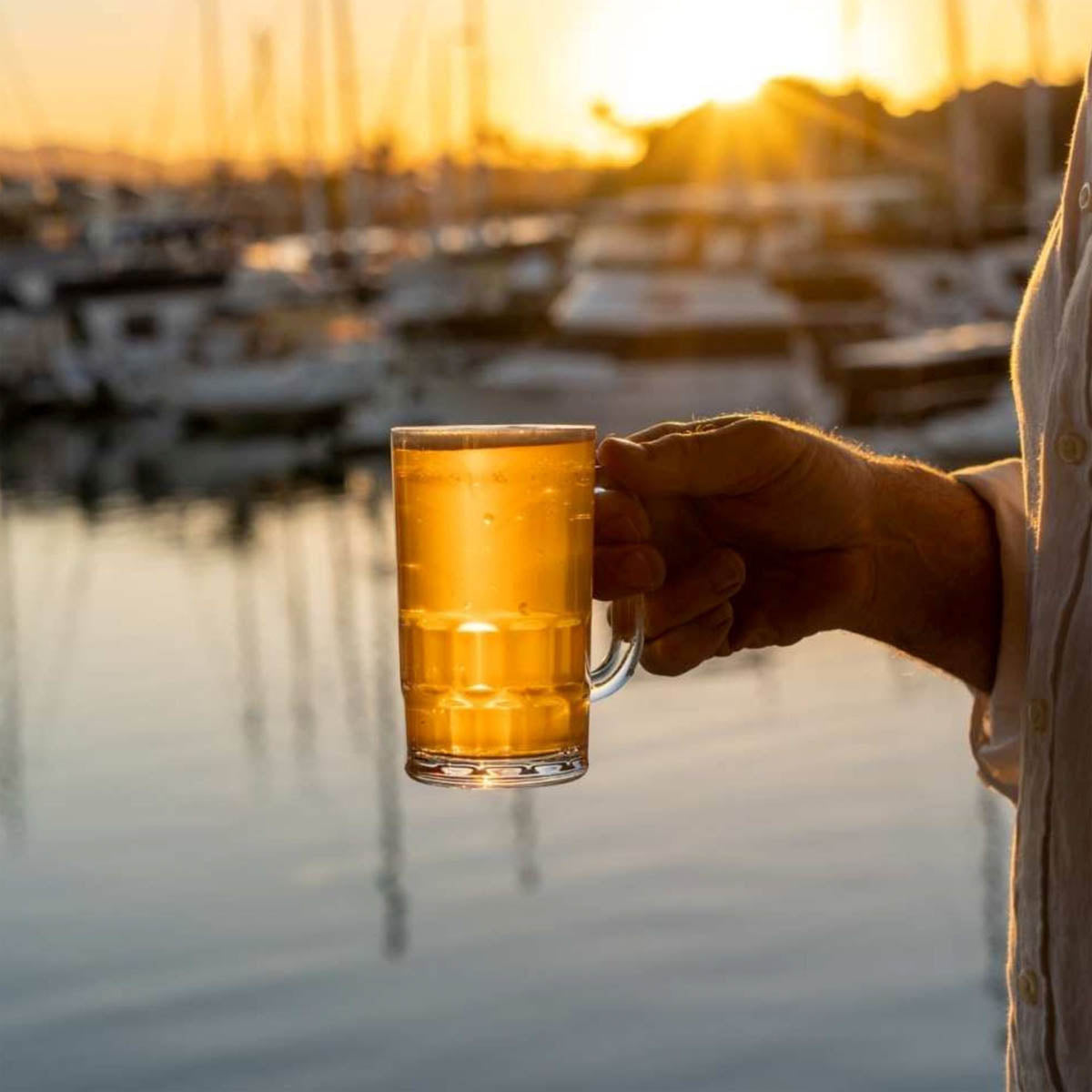 D-Still Essentials Polycarbonate Beer Mug - 405ml , Box of 4