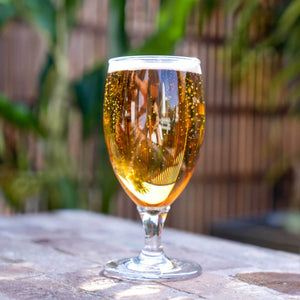 D-Still Essentials Polycarbonate Goblet - 375ml , Box of 4
