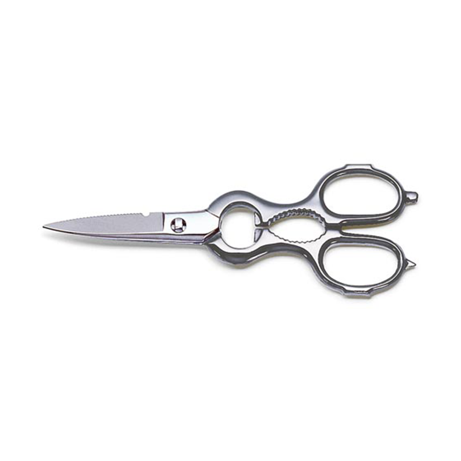 F.Dick Tools for Chefs Kitchen Shears Forged 21cm B/P - Kitchenly