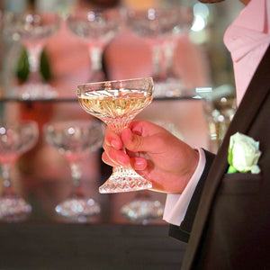 D-Still Polycarbonate Celine Coupe - 170ml , Box of 4