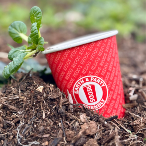 Redds Mini Paper Cup - Home Compostable, 285ml, Pack of 15