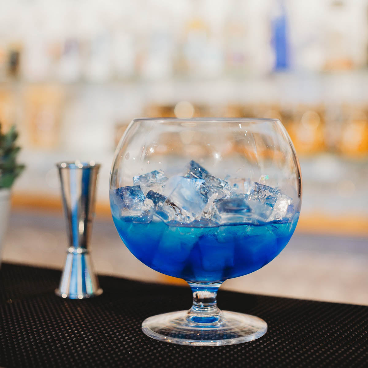 D-Still Essentials Polycarbonate Fishbowl - 1.7L