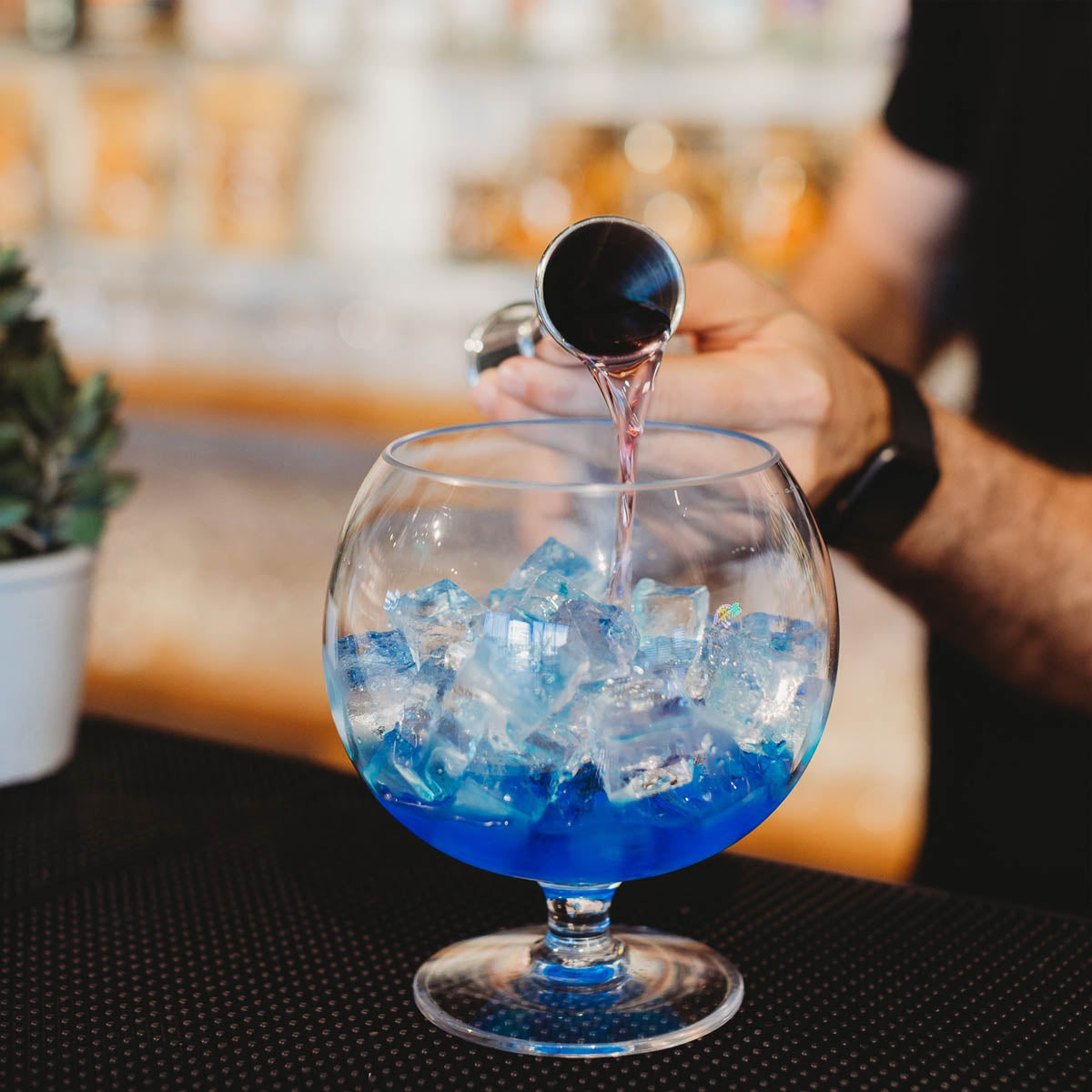 D-Still Essentials Polycarbonate Fishbowl - 1.7L