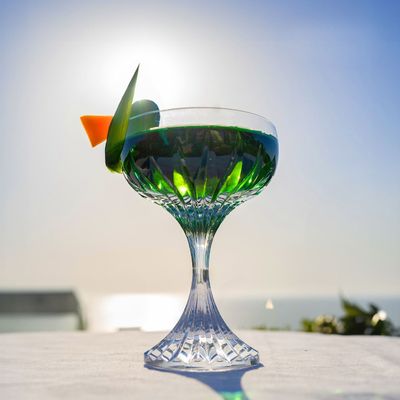 D-Still Polycarbonate Celine Coupe - 170ml , Box of 4