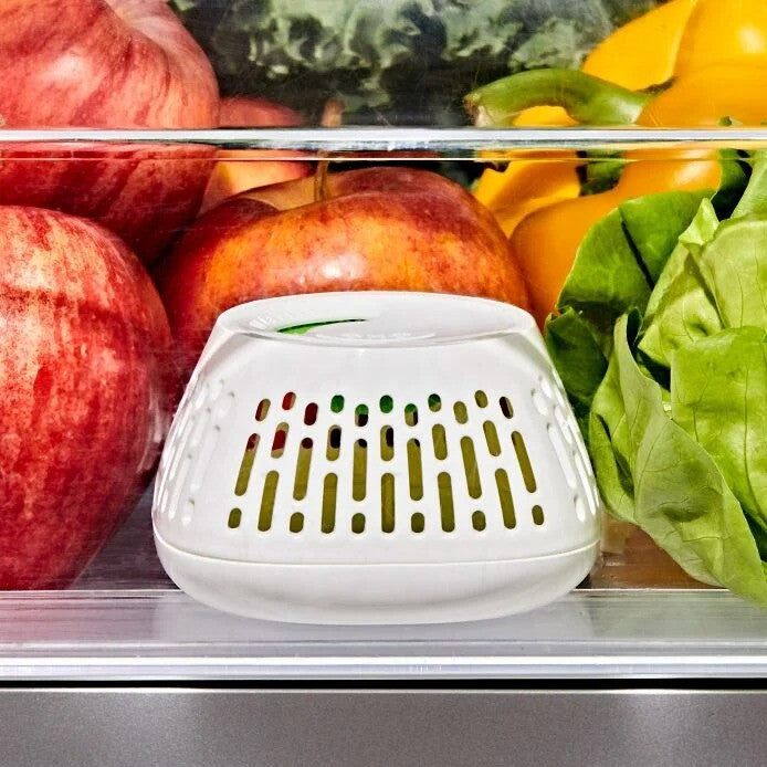 Produce Saver Crisper Insert- 2 Pack