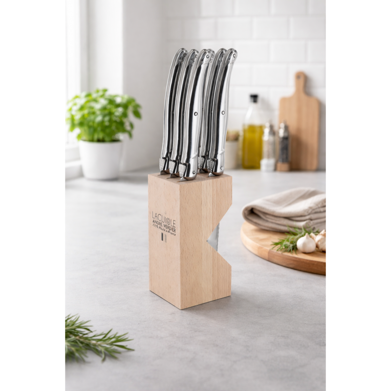 André Verdier Laguiole Debutant Inox Steak Knife with Block - 6 Piece